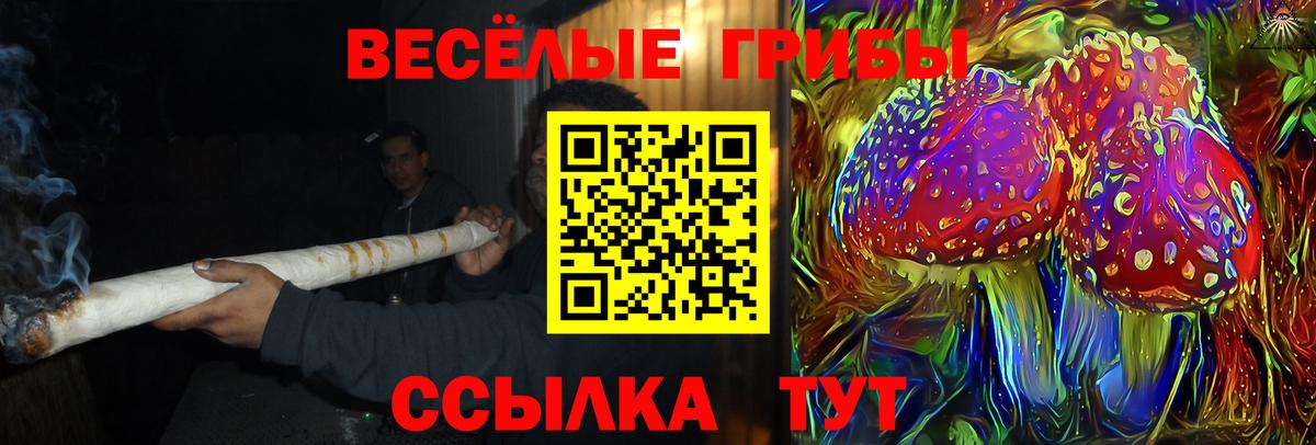 Галлюциногенные грибы Psilocybe Гусь-Хрустальный